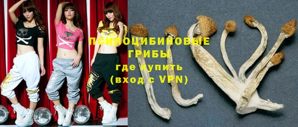 крисы Алзамай