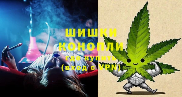 крисы Алзамай