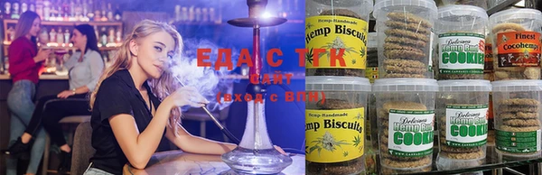 крисы Алзамай