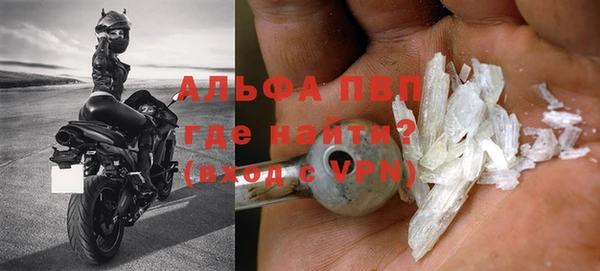 гашик Арсеньев