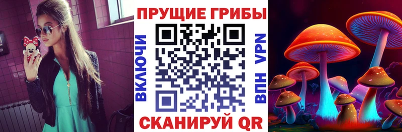 Псилоцибиновые грибы Cubensis  купить  сайты  Кыштым 